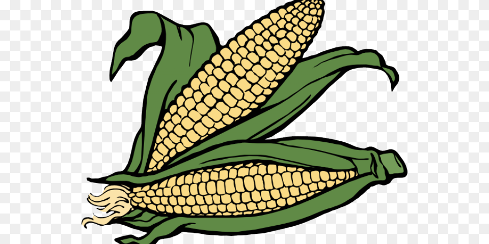 Korn Clipart, Corn, Food, Grain, Plant Png Image