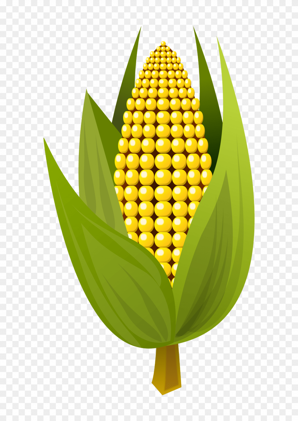 Korn Clipart Rice Corn Corn, Food, Grain, Plant, Produce Png Image