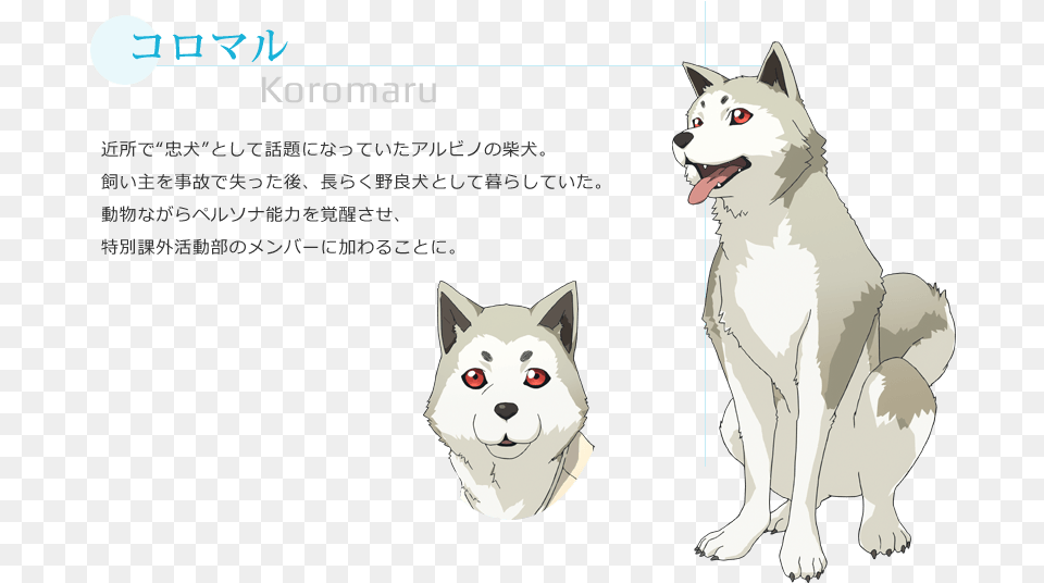 Koromaru Persona3 Movie Concept Art, Animal, Canine, Dog, Husky Free Transparent Png