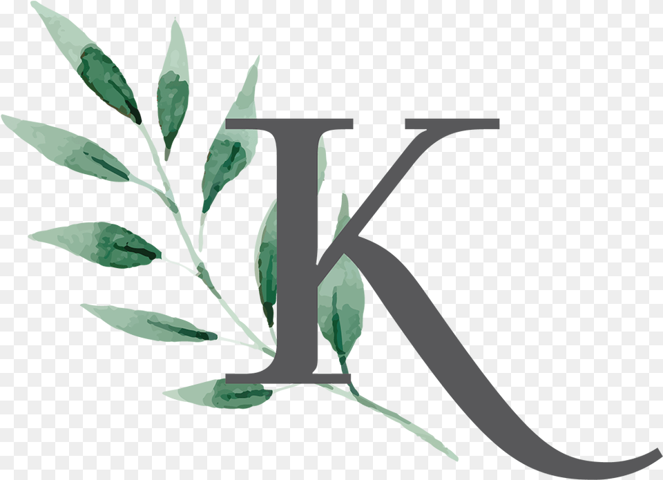Koru Icon Side Panel Illustration, Plant, Herbal, Herbs, Leaf Free Png Download