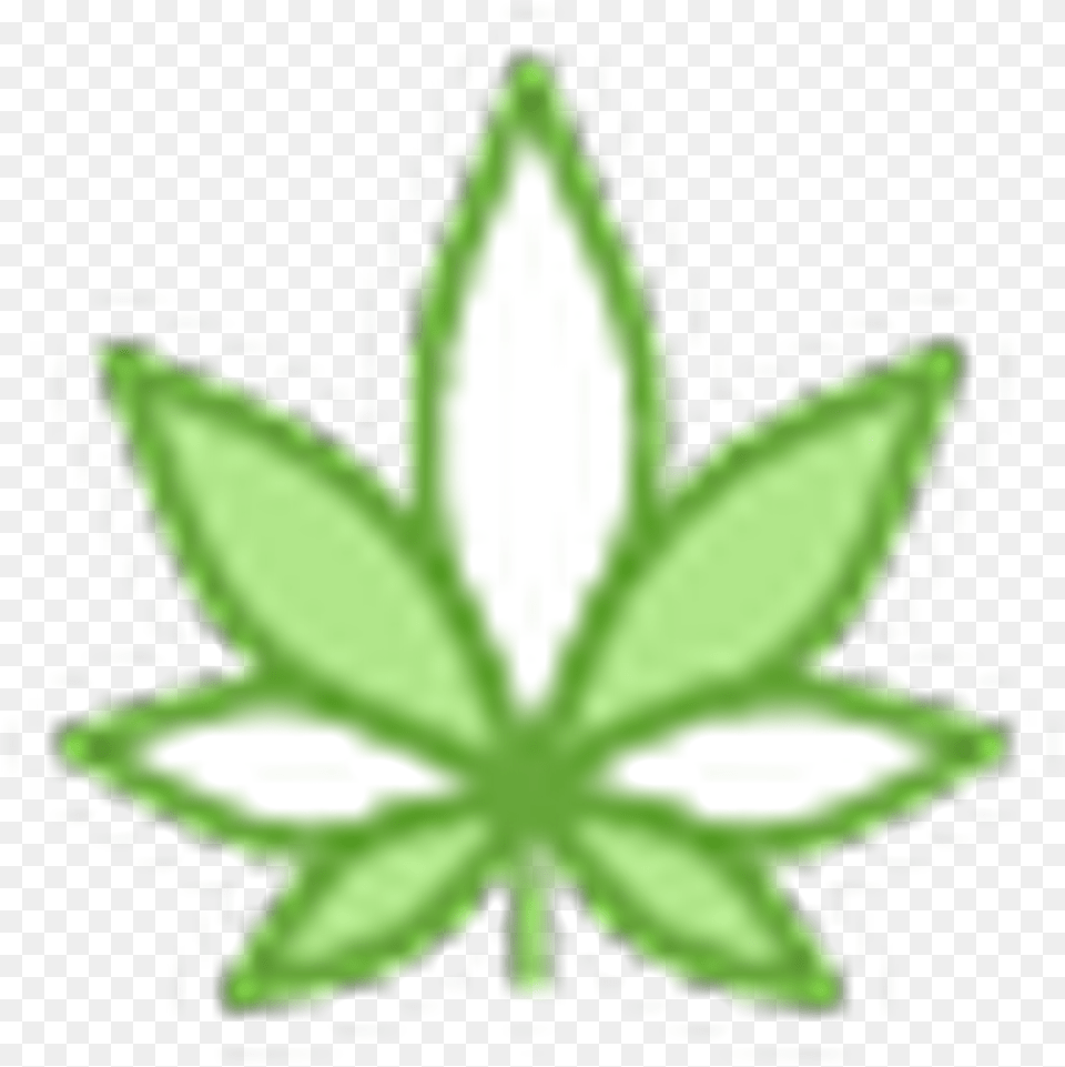 Kosher Kush Cannabis, Leaf, Plant, Herbal, Herbs Free Png