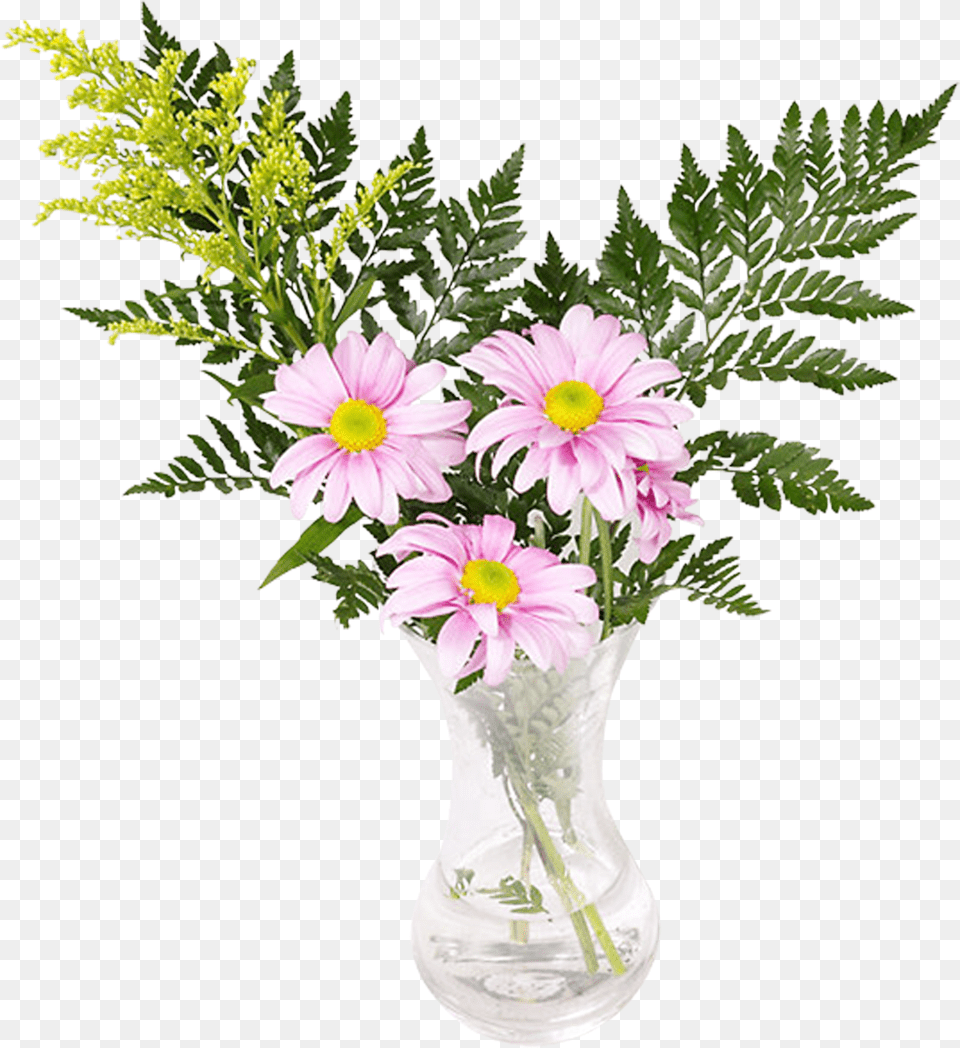 Kot S Cvetami, Flower, Flower Arrangement, Flower Bouquet, Jar Png