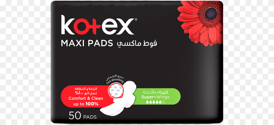 Kotex Pads, Daisy, Flower, Plant, Text Free Png