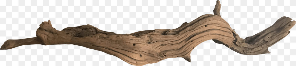 Koyal California Chairish Clipart Royalty Driftwood, Wood Free Png Download