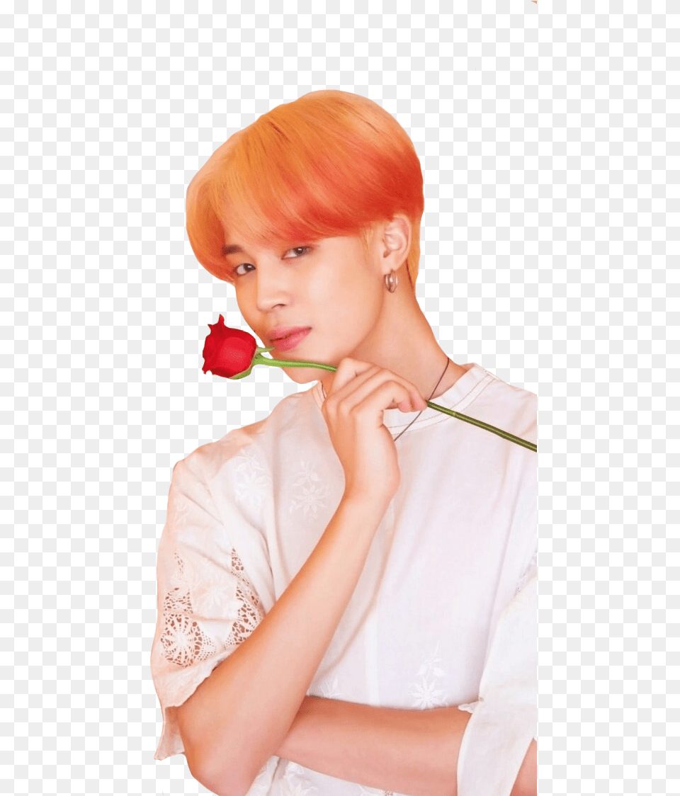 Kpop Images Jimin Map Of The Soul Persona, Adult, Rose, Plant, Person Free Png Download