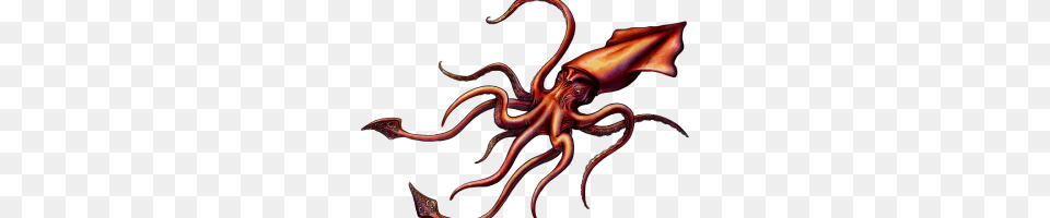 Kraken, Animal, Sea Life, Food, Seafood Free Png Download