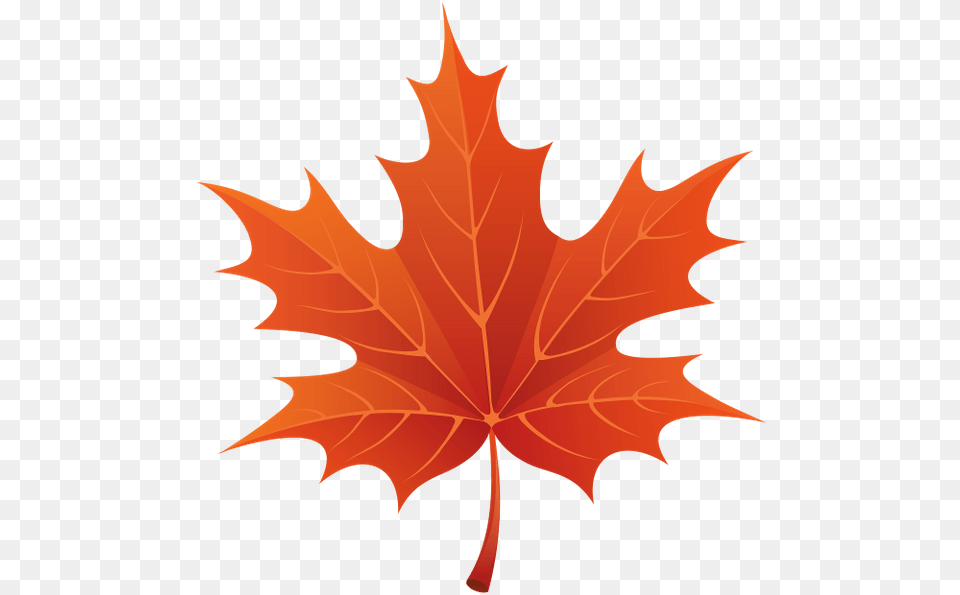 Krasnij Klenovij List Osen Kanada Red Maple Leaf Maple Leaf Clipart, Plant, Tree, Maple Leaf Free Transparent Png
