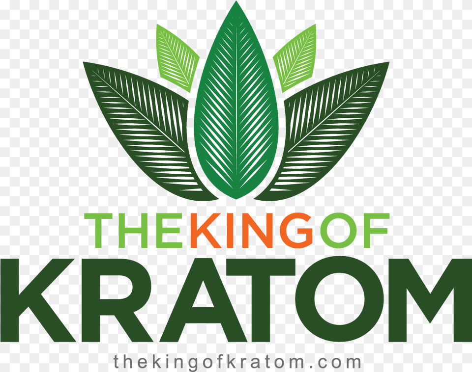 Kratom Graphic Design, Green, Leaf, Plant, Herbal Free Transparent Png