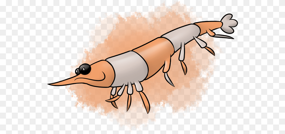 Kridro The Krill Fakemon Cartoon Krill Drawing, Animal, Food, Invertebrate, Sea Life Free Png