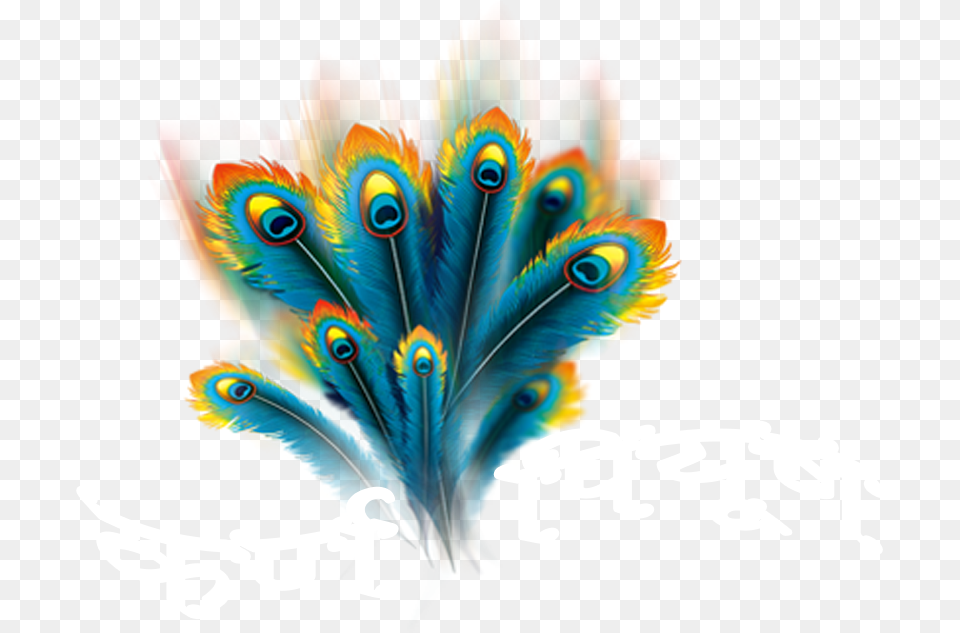 Krishanpreet Com Logo Vector Peacock Feather, Art, Graphics, Animal, Bird Png