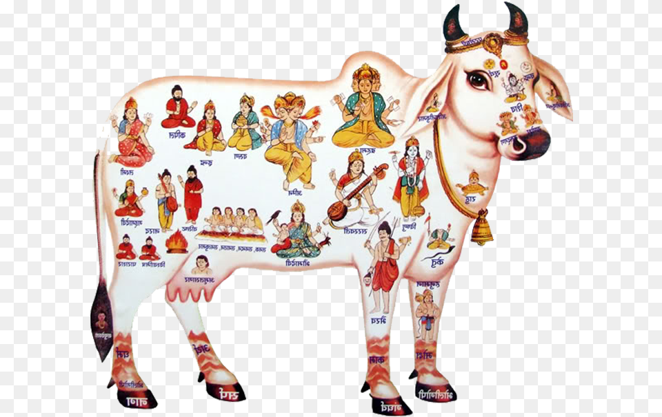 Krishna Clipart Gomatha Krishna With Cow, Mammal, Livestock, Person, Cattle Free Png Download
