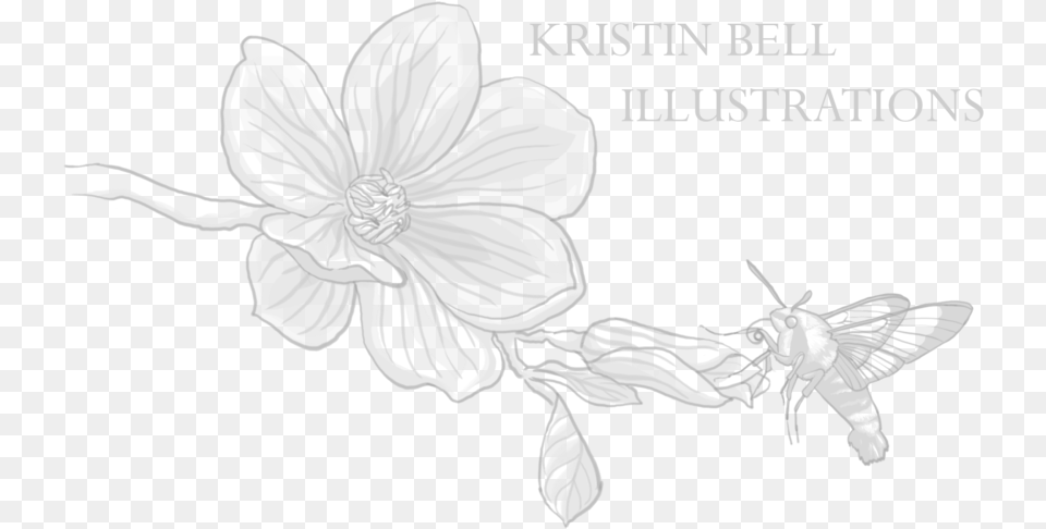 Kristen Bell, Book, Comics, Publication, Flower Free Png Download