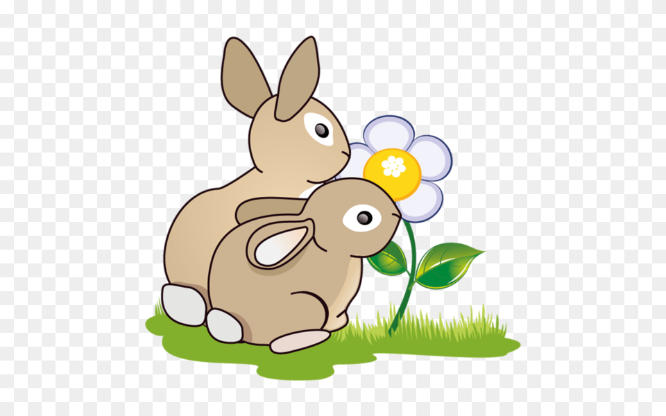 Krolik Krolik Trubki Clip Art Clip Art, Animal, Mammal, Rabbit, Face Free Png Download