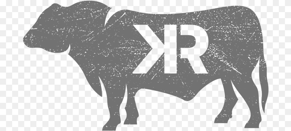 Krose Company Animal Figure, Bull, Mammal, Baby, Livestock Free Transparent Png