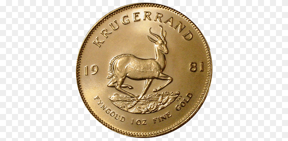 Krugerrand Gold Coins, Coin, Money, Wildlife, Animal Png Image