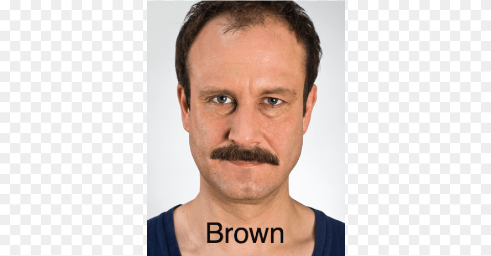 Kryolan Moustache, Adult, Face, Head, Male Png Image