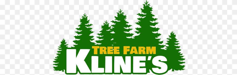 Ktf Web Logo Ktf Web Logo Ktf Web Logo Pine Tree Silhouette, Green, Plant, Vegetation Png Image