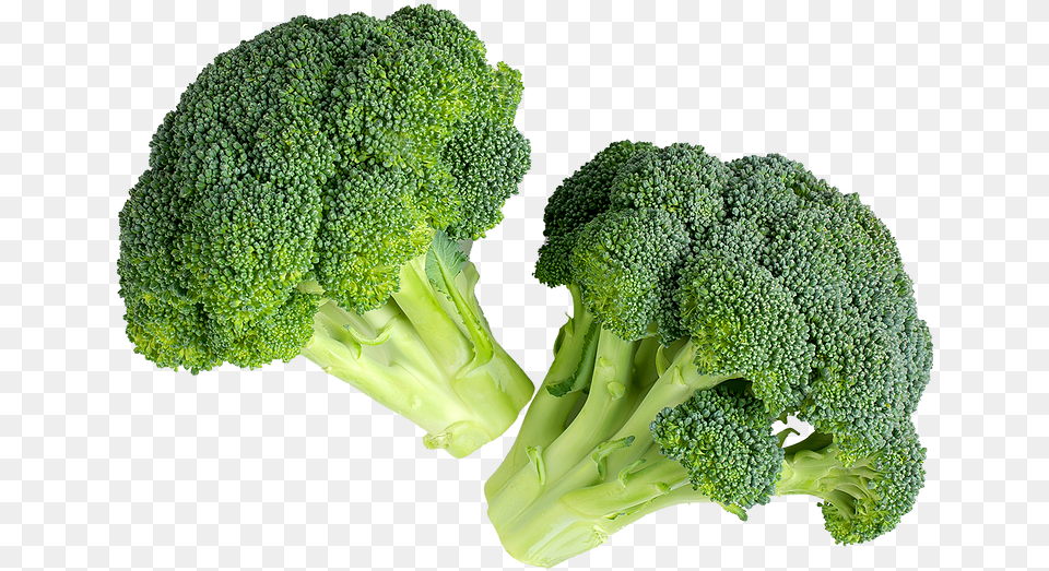 Ktfoodgroupcom Home Of Quality Food Brocoli, Broccoli, Plant, Produce, Vegetable Png