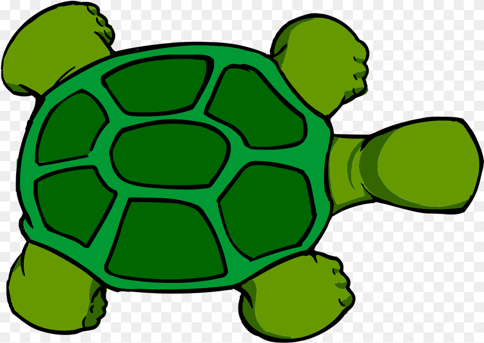 Kturtle Top View Cartoon Turtle Shell, Animal, Reptile, Sea Life, Tortoise Free Png