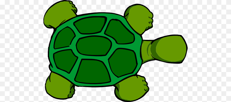 Kturtle Top View Clip Art, Animal, Tortoise, Sea Life, Reptile Free Png