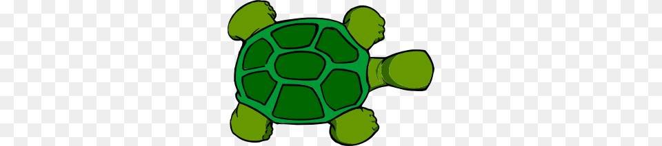 Kturtle Top View Clip Art, Animal, Tortoise, Sea Life, Reptile Png Image
