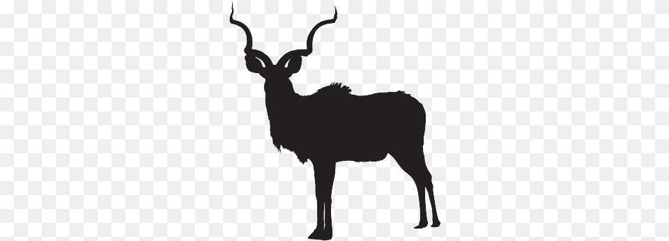 Kudu African Antelope Antelope Silhouette Vector, Animal, Impala, Mammal, Wildlife Free Png