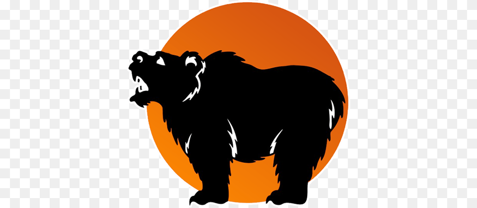 Kumas, Animal, Bear, Mammal, Wildlife Png