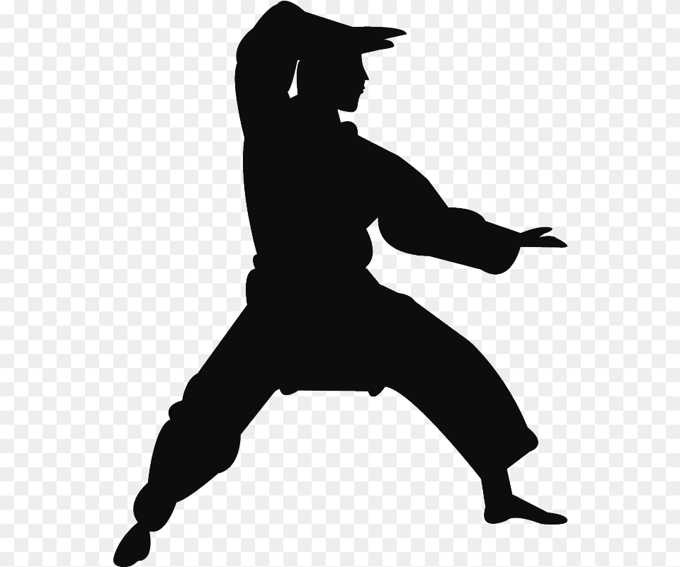 Kung Fu, Silhouette, Adult, Person, Male Free Transparent Png