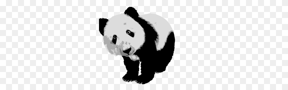 Kung Fu Panda Tag Free Vector Gallery, Animal, Mammal, Wildlife, Bear Png