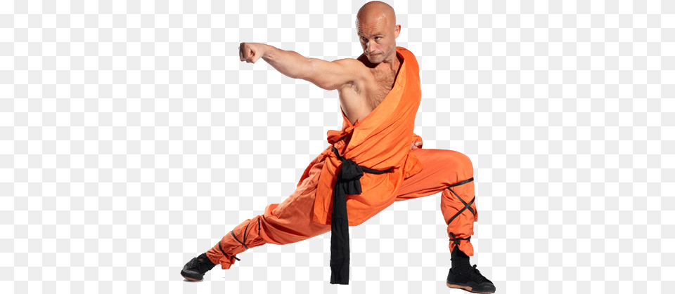Kungfu Snake Kung Fu Stance, Adult, Male, Man, Person Png