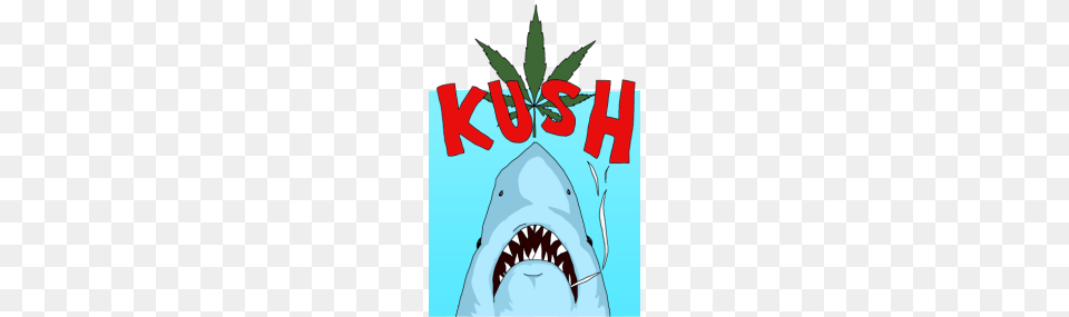 Kush, Animal, Fish, Sea Life, Shark Free Transparent Png