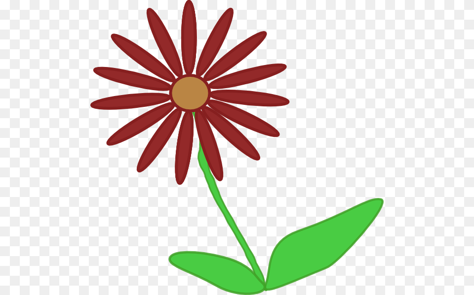 Kvetina Clip Art, Daisy, Flower, Petal, Plant Free Png