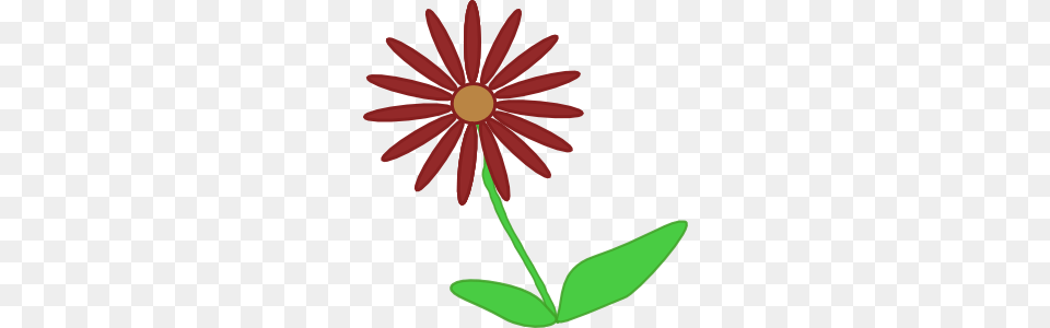 Kvetina Clip Art, Daisy, Flower, Petal, Plant Free Transparent Png