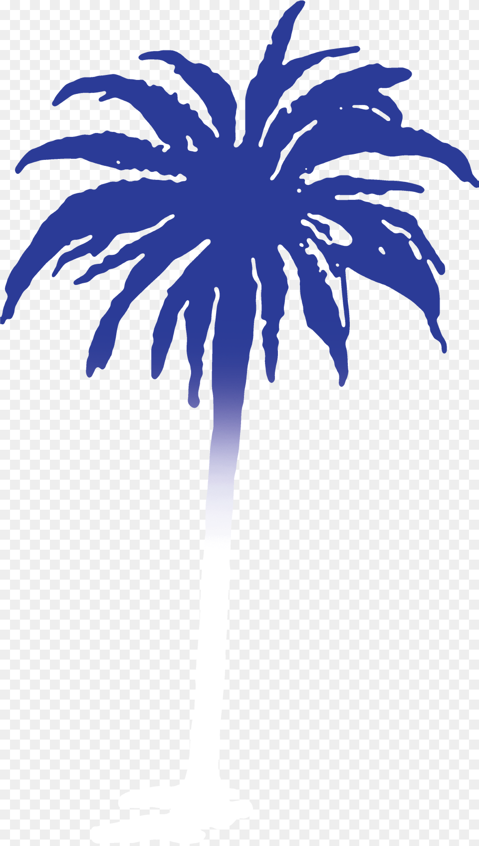 Kygo Palm Tree Records, Palm Tree, Plant, Person, Face Png Image