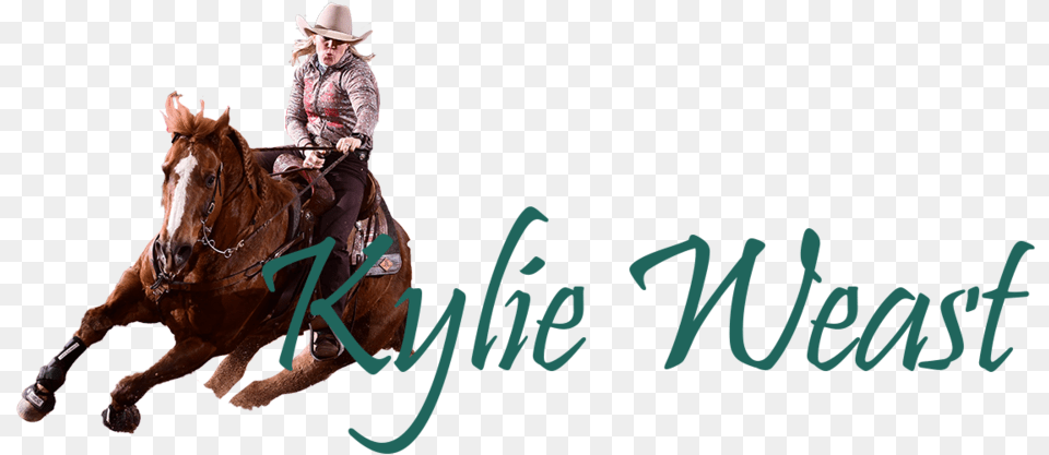 Kylie Logo Smaller3 Equitation, Person, Mammal, Horse, Equestrian Free Transparent Png