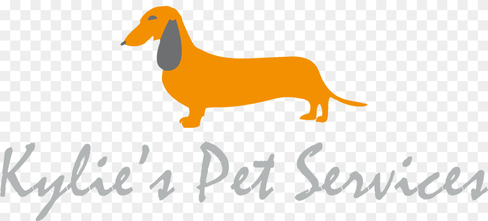 Kylie S Pet Services Dachshund, Animal, Dinosaur, Reptile, Text Free Png Download