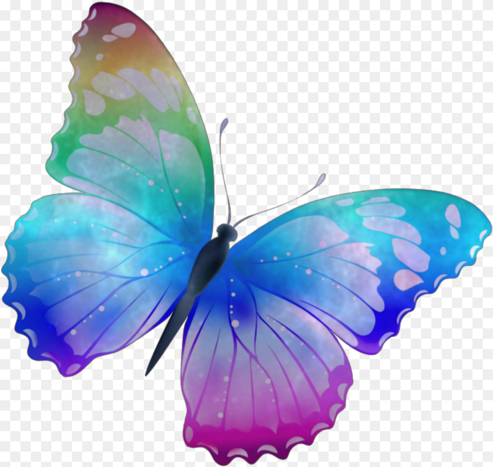 Kyliejenner Nelsonmandela Pink Purple Blue Blood Butterfly Design, Animal, Insect, Invertebrate, Plant Png Image