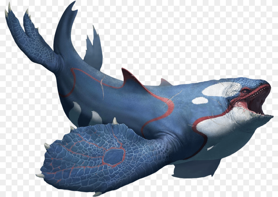 Kyogre Arvalis Pokemon Kyogre In Real Life, Animal, Fish, Sea Life Free Transparent Png