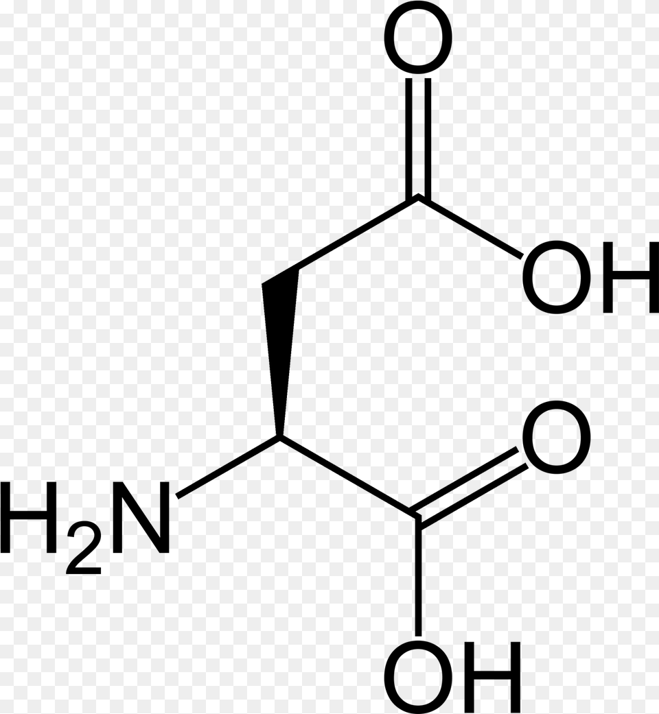 L Aspartic Acid Acid, Gray Png