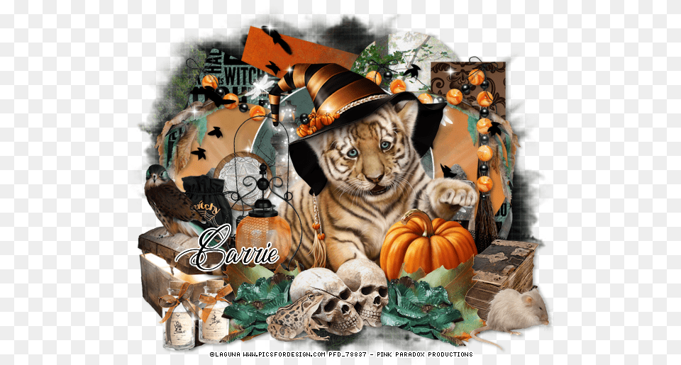 L Autumnwitchery Carrie Tutorial, Pumpkin, Vegetable, Food, Plant Free Png Download