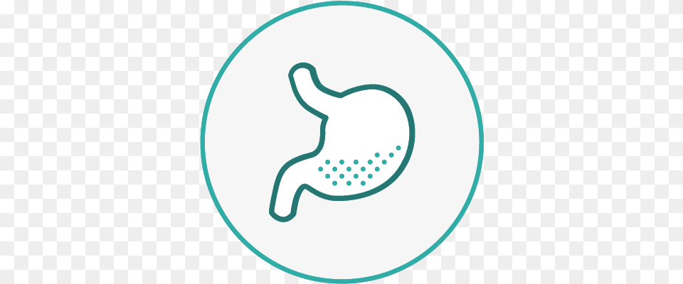 L Glutamine Glucosamine Vitamin D Gut Health Supplement Dot, Pattern, Disk, Animal, Mammal Png Image