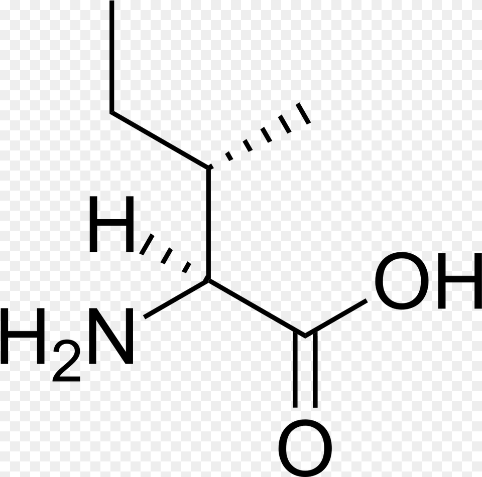 L Isoleucine, Gray Png