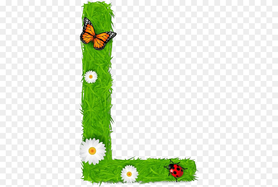 L Letter Pic L Letter Flower, Daisy, Plant, Animal, Insect Png Image