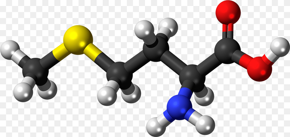 L Methionine Molecule Ball Amine Compounds Chemical Compounds, Chess, Game Free Png