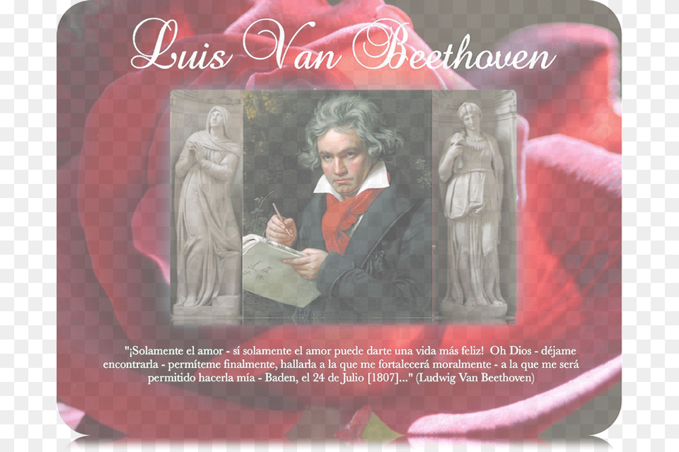 L Portrait Of Ludwig Van Beethoven, Adult, Wedding, Person, Man Free Png Download