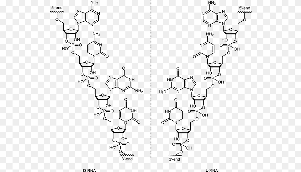 L Rna L Rna Vs D Rna, Chart, Plot Png