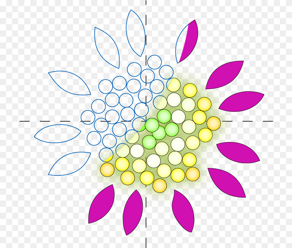 L System Flower Logo Flower, Art, Graphics, Pattern, Floral Design Free Png