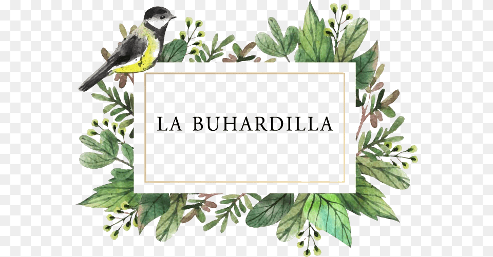 La Buhardilla Decoracin Thank Facebook For Birthday Wishes, Animal, Bird, Finch, Leaf Free Png