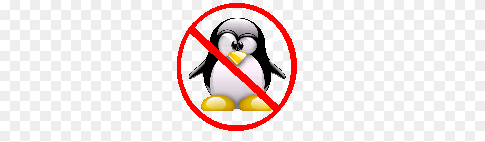 La Esquina De Un Migrante A Linux Linux Is Not For Everyone, Animal, Bird, Penguin Free Png Download