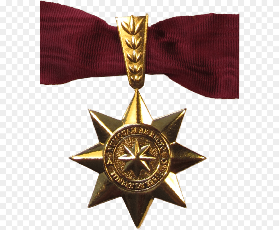 La Estrella De Oro Del Concilio Bankruptcy, Gold, Accessories, Symbol, Badge Free Png Download